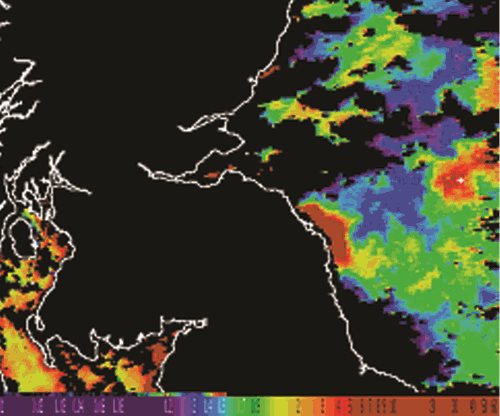 The chlorophyll concentration map that shows pseudo-nitzcha bloom off the Northumberland coast in May 2005