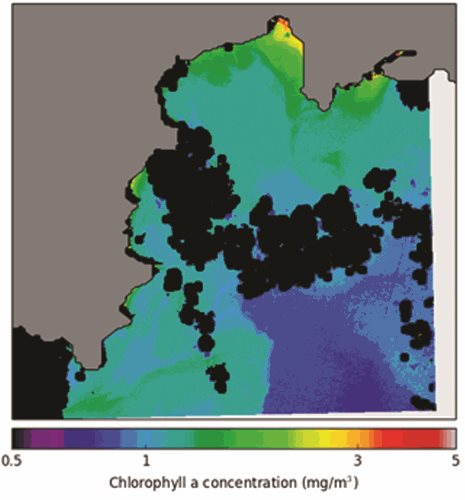 Chlorophyll-a estimates derived from recent Landsat 8 images of St Austell Bay. Black patches represent clouds and their shadows