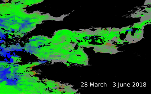 Figure 1. Karenia mikimotoi HAB risk map. The detection algorithm was trained using laboratory measurements. Blue: low chlorophyll concentration, green: enhanced chlorophyll concentration that is not associated with harmful algal blooms (HABs), red: risk of HABs (e.g. west of Brittany), grey: unknown class as colour is dissimilar to training data, black: land or cloud cover.